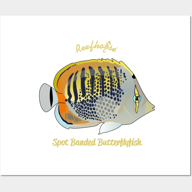 Spot Banded Butterflyfish Wall Art by Reefhorse